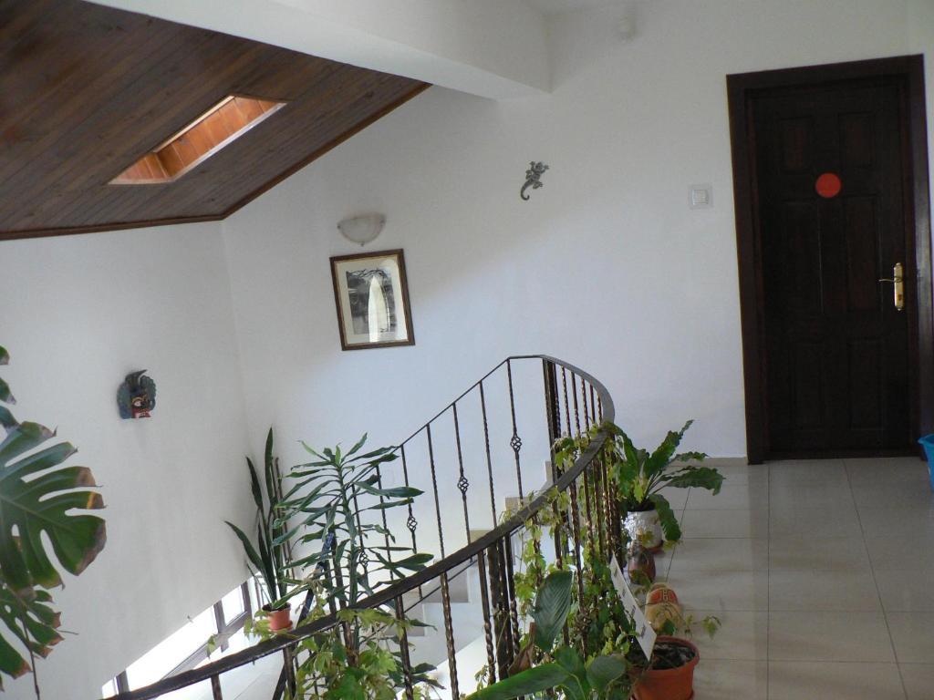 קוסטינסטי Casa Havana (Adults Only) מראה חיצוני תמונה