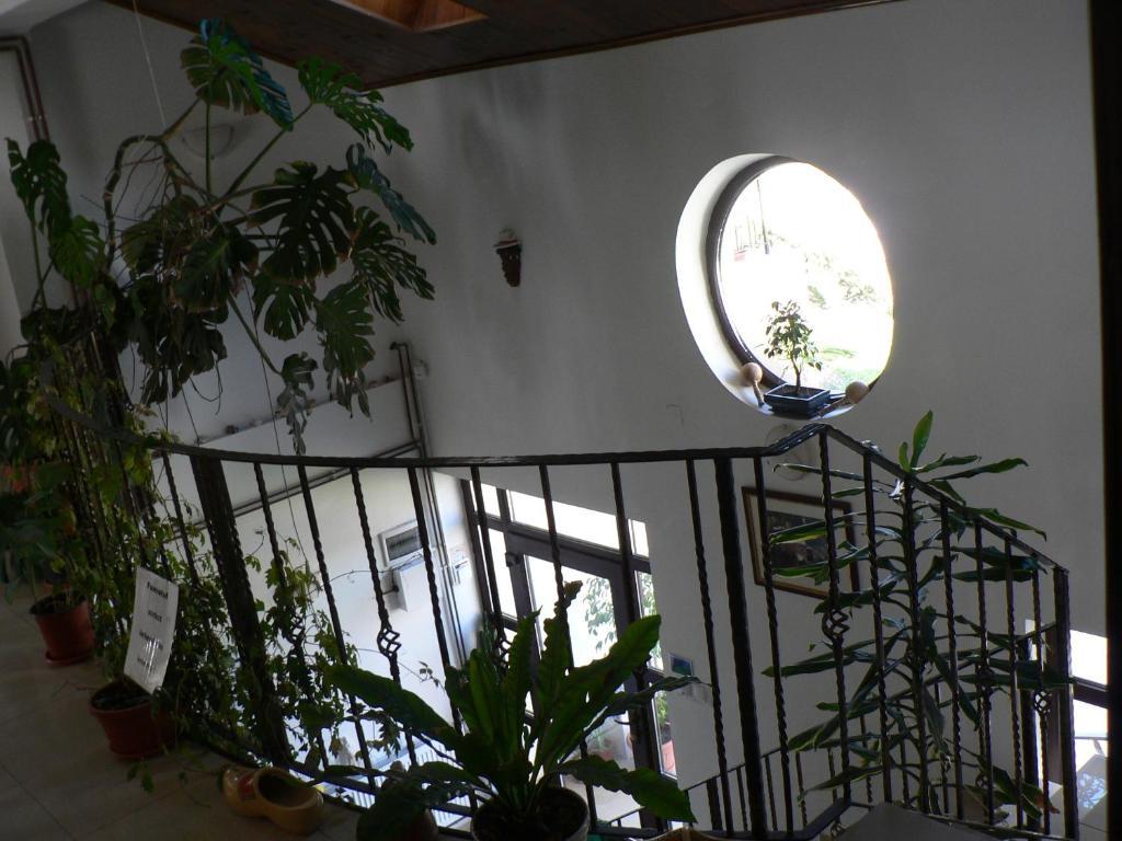 קוסטינסטי Casa Havana (Adults Only) מראה חיצוני תמונה