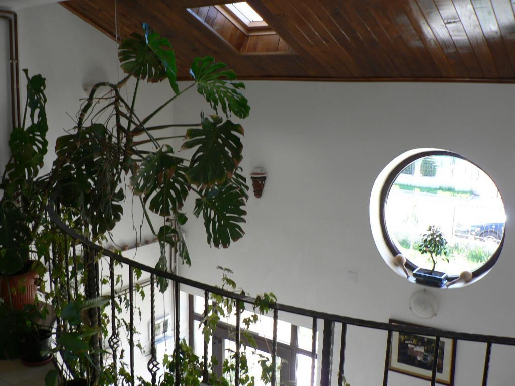 קוסטינסטי Casa Havana (Adults Only) מראה חיצוני תמונה