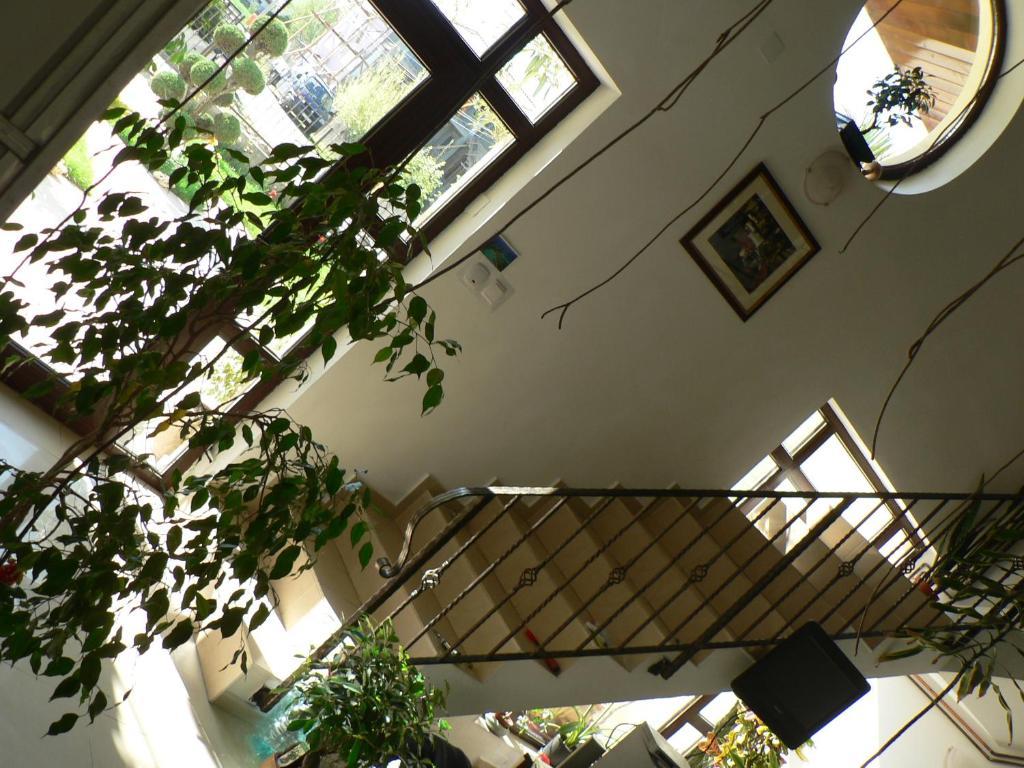 קוסטינסטי Casa Havana (Adults Only) מראה חיצוני תמונה