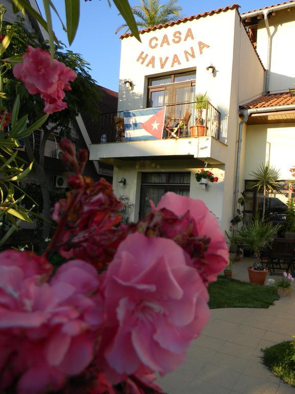 קוסטינסטי Casa Havana (Adults Only) מראה חיצוני תמונה