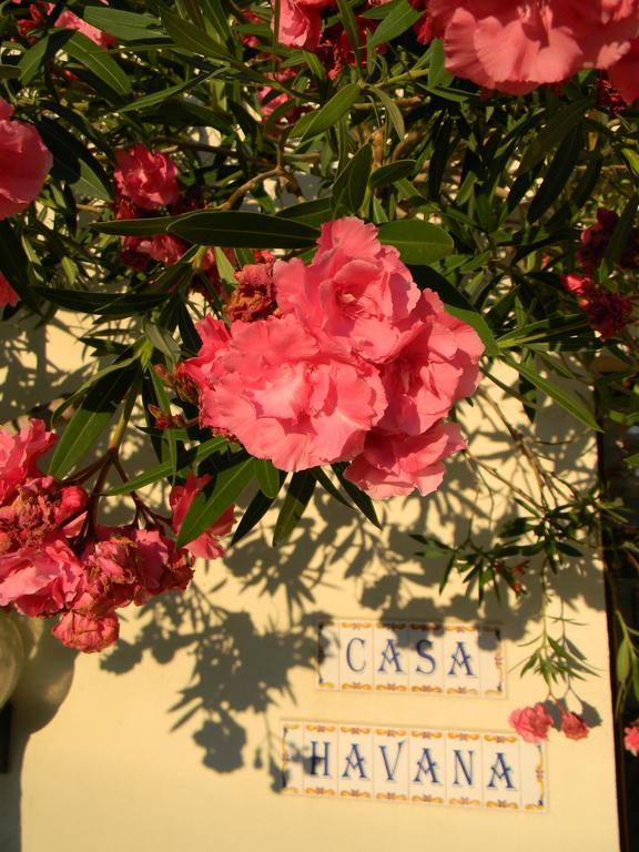 קוסטינסטי Casa Havana (Adults Only) מראה חיצוני תמונה
